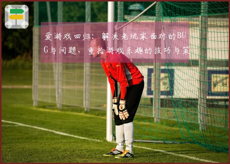 爱游戏回归：解决老玩家面对的BUG与问题，重拾游戏乐趣的技巧与策略