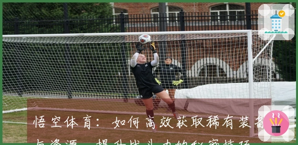 悟空体育：如何高效获取稀有装备与资源，提升战斗力的秘密技巧