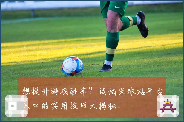 想提升游戏胜率？试试买球站平台入口的实用技巧大揭秘！